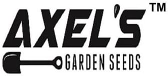 Cabbage Seeds for Planting – Non-GMO Heirloom Vegetable Seeds – Full Instruction Packets to Plant in Your Home Outdoor Garden – Gardening Gift – 200 Copenhagen Cabbage Seeds Per Pack (2 Packets)