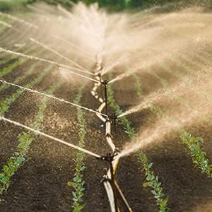 Drip Irrigation Fittings Kit for 1/2" Tubing, 18 Pieces Set Barbed Connectors - 6 Tees, 6 Couplings, 6 Elbows - Drip Line Parts (17mm .600" ID) Half Inch for Garden Sprinkler Systems