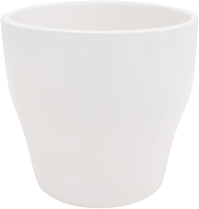 Costa Farms, Premium Live Indoor Desert Gems Purple Cacti, Tabletop Plant, White Gloss Euro Ceramic Decorator Pot, Shipped Fresh From Our Farm, Excellent Gift