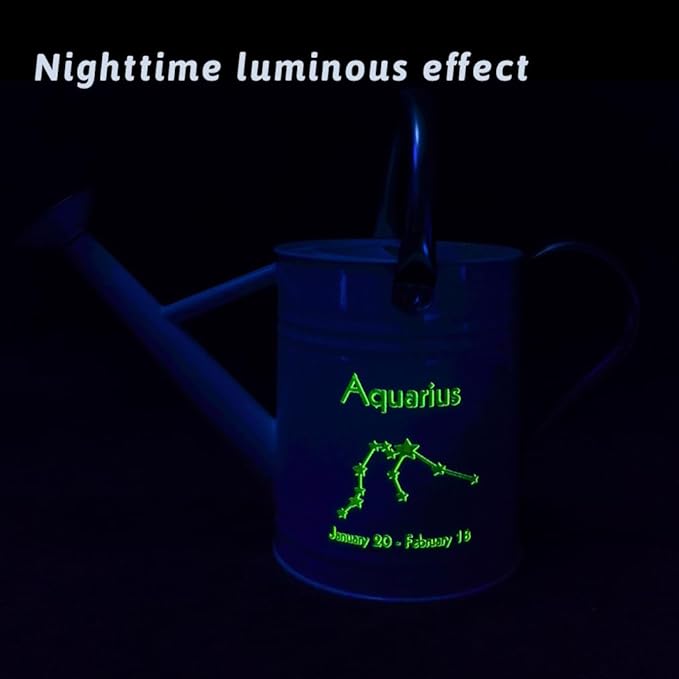 Metal Watering Can for Outdoor and Indoor Plants, Watering Can Decor, 1 Gallon (Aquarius)