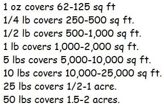 Non GMO Bulk Cornflower/Bachelor Button Seeds -Tall Mix Centaurea cyanus (1/2 Lb) 45,000 Seeds