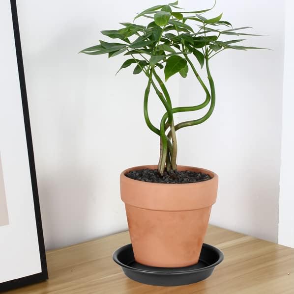 6 Pack Plant Saucer Tray, 4 6 8 10 12 13 15 17 19 inch Plant Saucers, Heavy Duty Plastic Plant Saucers for Indoors, Bird Bath Bowls, Flower Plant Water Trays for pots Planter (6", Black)