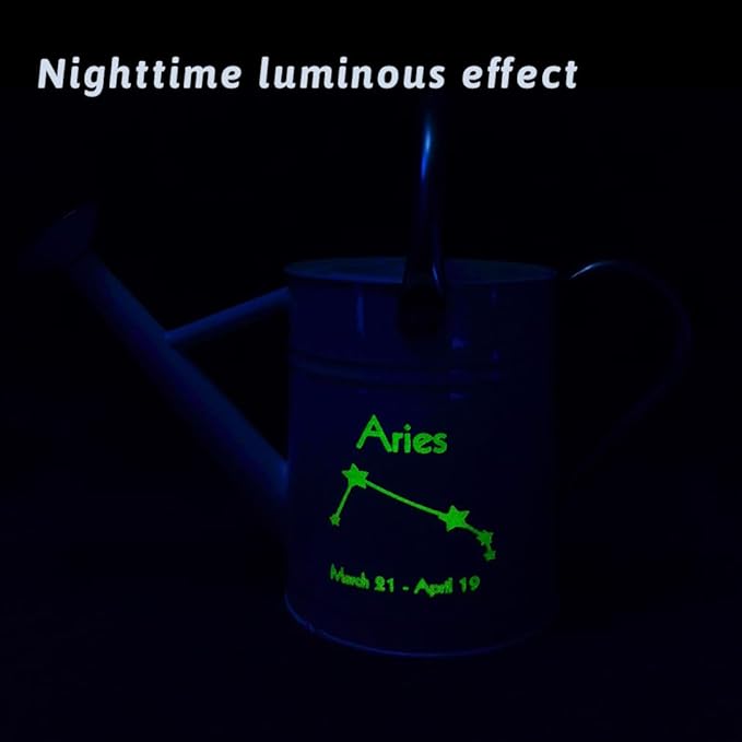 Metal Watering Can for Outdoor and Indoor Plants, Watering Can Decor, 1 Gallon (Aries)