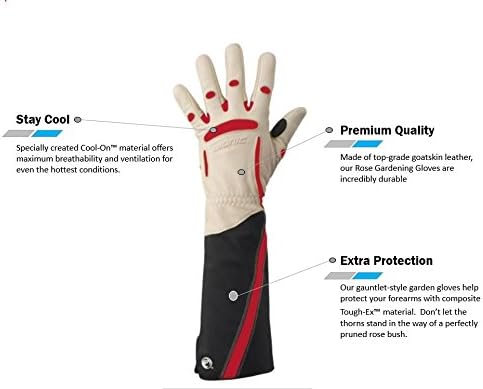 Bionic Women's Rose Gloves