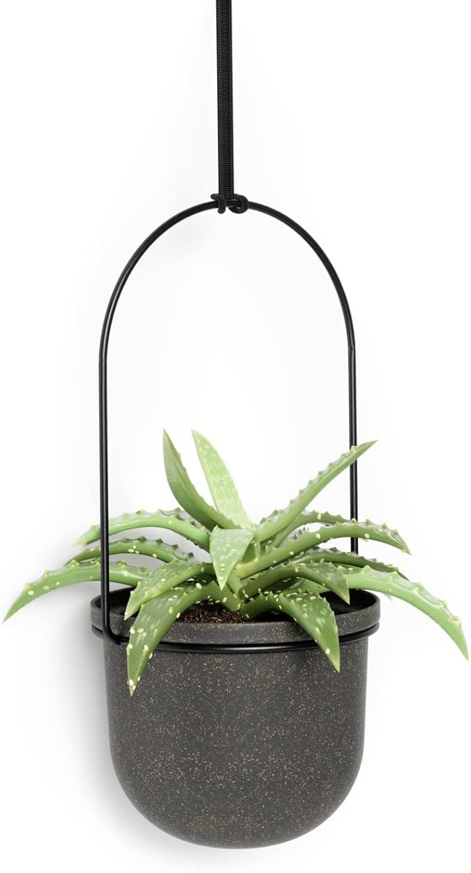 Umbra Triflora Hanging Planter for Window, Indoor Herb Garden, Set of 5, Black