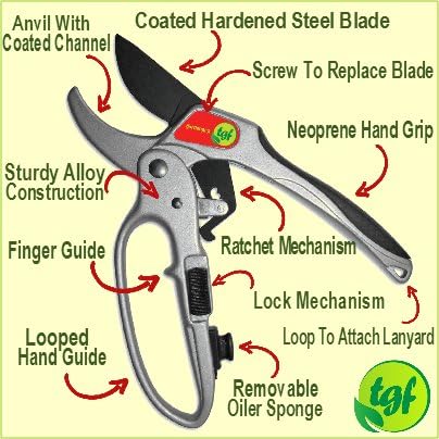 Ratchet Pruning Shears Gardening Tool – Anvil Pruner with Assisted Action – Ratcheting Pruners for with Heavy Duty, Nonstick Steel Blade – Garden Tools by The Gardener's Friend