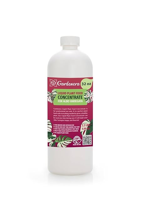 Plant Growth Superfood for ALBO VARIEGATA with Vitamins & Minerals - Organic Plant Food Fertilizer - Micro-Fungi and Bio-Organisms for Albo Variegata Plant Care & Growth Enhancement - 32oz