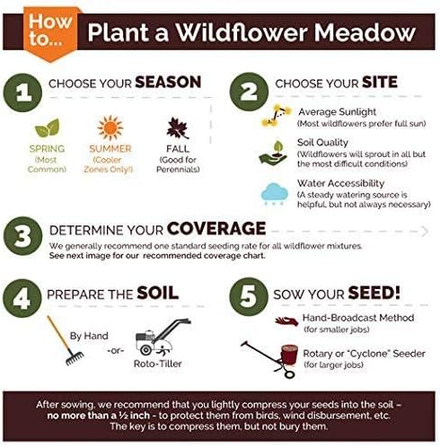 Non GMO Bulk Lupine Mix Flower Seed 7 Species of Wildflower Seeds (10 lbs)