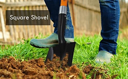 Ashman Transfer Shovel (2 Pack) – 41 Inches Long D Grip with Durable Handle – A Premium Quality Multipurpose Shovel for Heavy Duty Construction, Farming, and Outdoor works, Gardening, Landscape works.