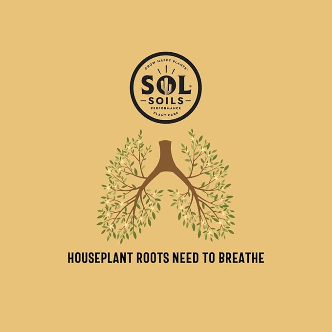Sol Soils Chunky Houseplant Mix - Fast Draining Soil for Indoor Plants with Coco Coir Chips, Perlite, & Pumice, 2 Quart