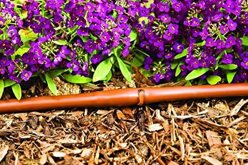 DIG ML-109B ¼” 100’ MICROLINE™ Dripline, 9” Dual Outlet Emitter Spacing, UV-Resistant Tubing for Efficient Irrigation | Ideal for Raised Beds, Gardens | Flexible, Durable, Easy Installation (Brown)