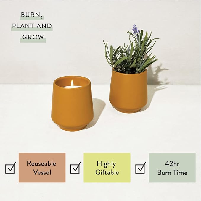 Modern Sprout Rooted Candle Grow Set, Indoor Herb Garden, Seed Starter Set, Organic, Non-GMO, Lavendar & Cedarwood