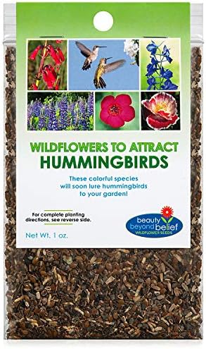 Hummingbird Nectar Wildflower Seeds - 1oz, Open-Pollinated Wildflower Seed Mix Packet, Non-GMO, No Fillers, Annual, Perennial Wildflower Seeds Year Round Planting - 1 oz