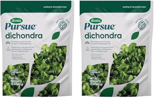 Scotts Pursue Dichondra with Natural Seed, Seeding for Decorative Areas, 1.5 lbs. (Pack of 2)