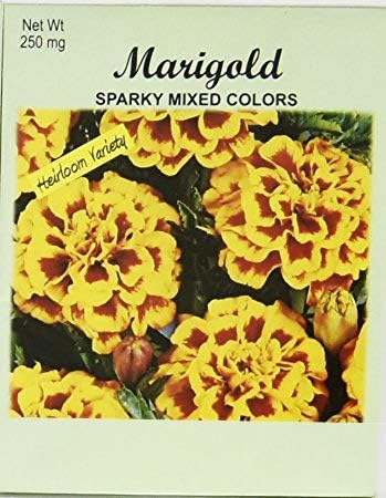 Set of 100 Flower Seed Packets! Flower Seeds in Bulk (100, Marigold Sparky Mix)