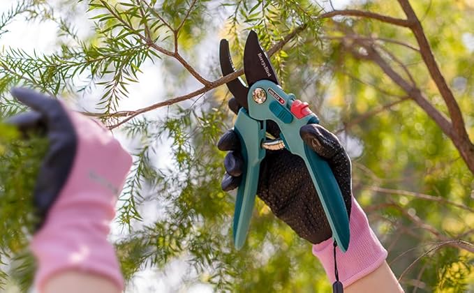 Berry&Bird Garden Pruning Shears, 8.7" Bypass Hand Pruner Shears, Adjustable Size Scissors with SK5 High Carbon Steel Blades, Flower Clippers Secateurs with Safety Lock for Pruning Flowers, Branches