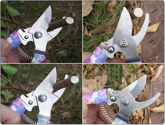 Anti-Rust Garden Tool Set with Carrying Case, 5 Piece Stainless Steel Gardening Kit with Floral Pattern Grass Flower Branch Trimmer Garden Hand Tool Sprayer Farmer Box Gardening Tool for Adults Kids
