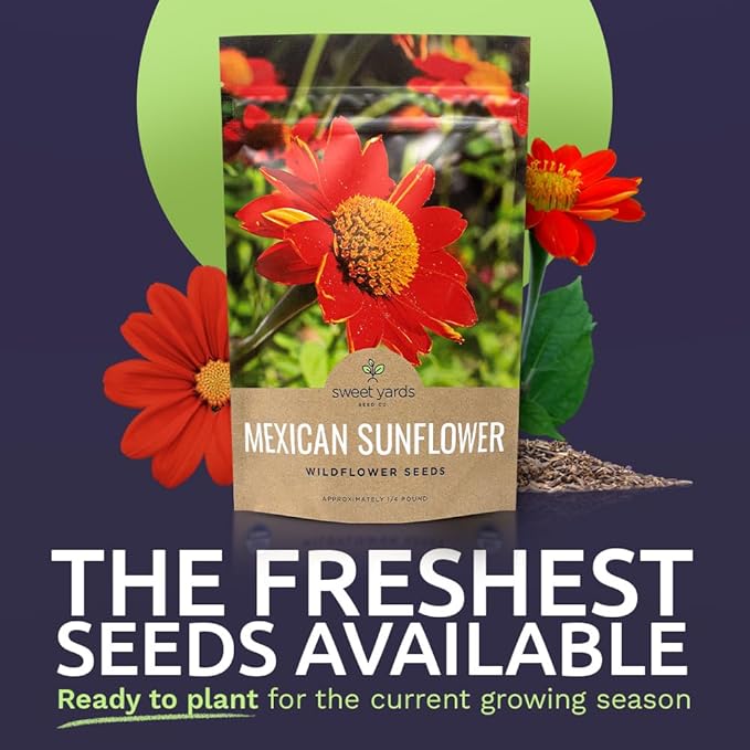 Mexican Sunflower Seeds – Bulk Quarter Pound Bag – Over 10,000 Open Pollinated Non-GMO Wildflower Seeds – Tithonia rotundifolia