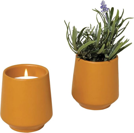 Modern Sprout Rooted Candle Grow Set, Indoor Herb Garden, Seed Starter Set, Organic, Non-GMO, Lavendar & Cedarwood