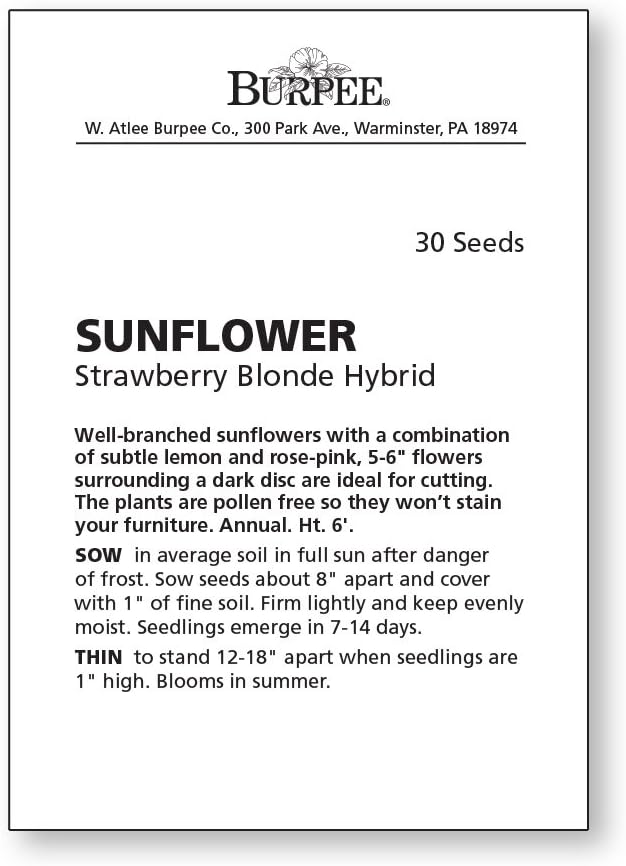 Burpee Strawberry Blonde Sunflower Seeds 30 seeds