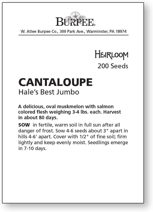 Burpee Hale's Best Jumbo Cantaloupe Melon Seeds 200 seeds