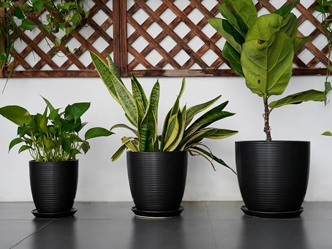 Ceramic Plant Pot 10 Inch - Large Planter Pots for Plants Indoor Outdoor Glazed Round Flower Pot with Drainage Hole and Saucer Black