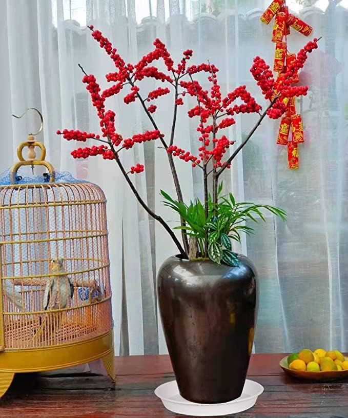 6 Pack of 8 inch Plant Saucer, Heavy Duty Plastic Plant Drip Trays 8" Round, Plant Dishes Saucer, Flower Plant Water Trays for Indoors, Plate for Planter 7-9" (8 inch, Creamy White)