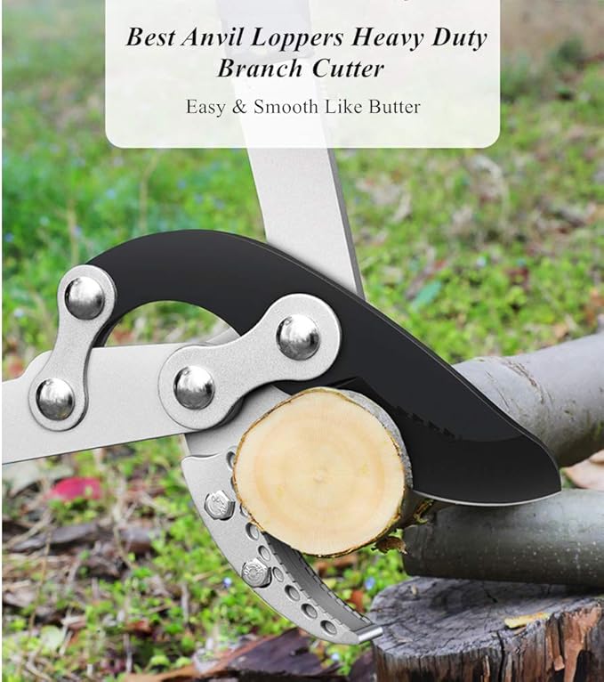 Heavy Duty Anvil Lopping Shears -2 inch Cutting Capacity Bypass Lopper - Extendable 26 Inch to 41 Inch,Professional Tree Branch Cutter