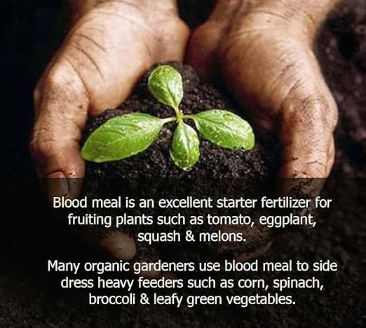 Premium 12-0-0 Organic Blood Meal Fertilizer by Gardenera - All-Natural Plant Food Source of Nitrogen for Organic Gardening, Flowers, Vegetables, Trees & Shrubs - 5 Quart