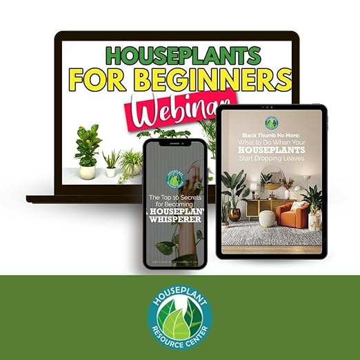 House Plant Probiotic Powder - Soil Conditioner to Provide Essential for Fiddle Leaf figs and All Varieties of houseplant.
