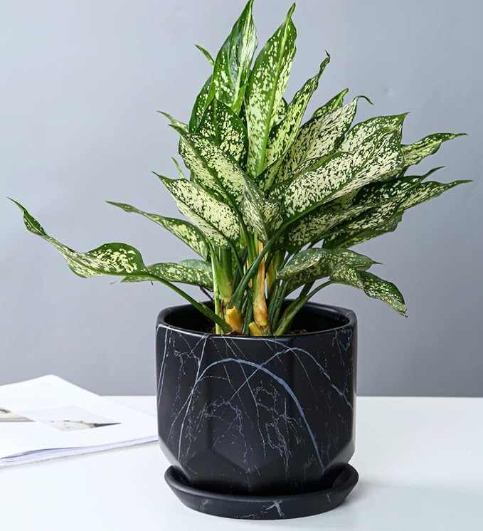 Large Marble Black Plant Pot with Drainage Holes and Saucers, Ceramic Pots for Indoor Outdoor Plants, 7 Inch Premium Hand Glazed Planters for Flower, Garden, Succulent, Nursery, Home Decor