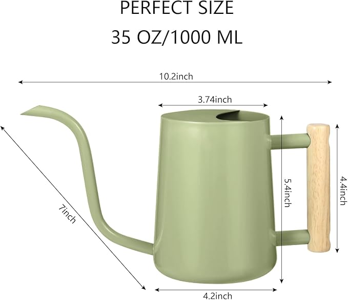 Watering Can Indoor Plants, 35oz Small Watering Can Indoor Stainless Steel Metal Watering Can Modern Decorative Watering Pot with Long Spout for Indoor House Plant Bonsai Garden Flowers (Sage Green)