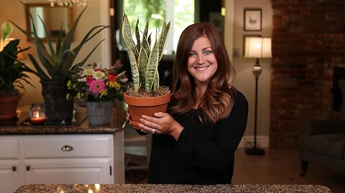 Espoma AP8 8-Quart Organic Potting Mix (2-Pack)