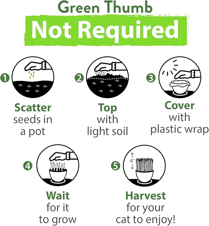 HOME GROWN 3200+ Cat Grass β π‘π’π‘-ππ π’ π¨π¦π Grown Catnip, Alfalfa, Oat, Cat Grass Mix β Indoor Cat Grass Kit Refill β High-Germination Pet Grass for Hairball Relief & Digestion