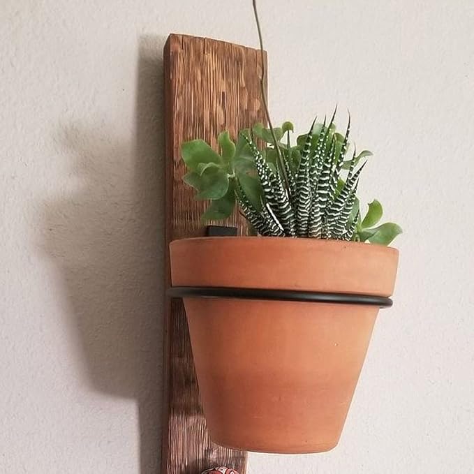 6 Pack 4in Flower Pot Holder Ring Wall Mounted Metal Planter Hooks Hangers Wall Bracket