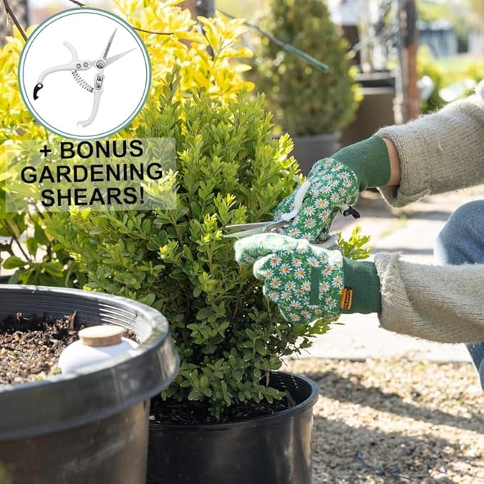 Plant Self Watering Globes - Terracotta Watering Spikes - Slow Release Olla Pots - Holds 16 oz - Drip Irrigiation Olla System - Bonus Garden Shears