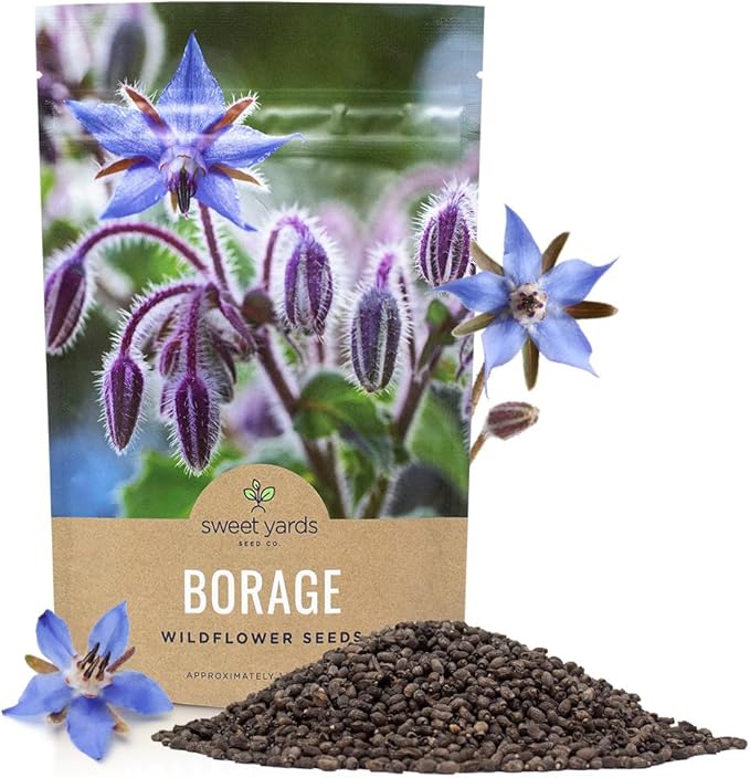 Borage Seeds – Bulk Quarter Pound Bag – Over 5,000 Open Pollinated Non-GMO Wildflower Seeds – Borago officianalis