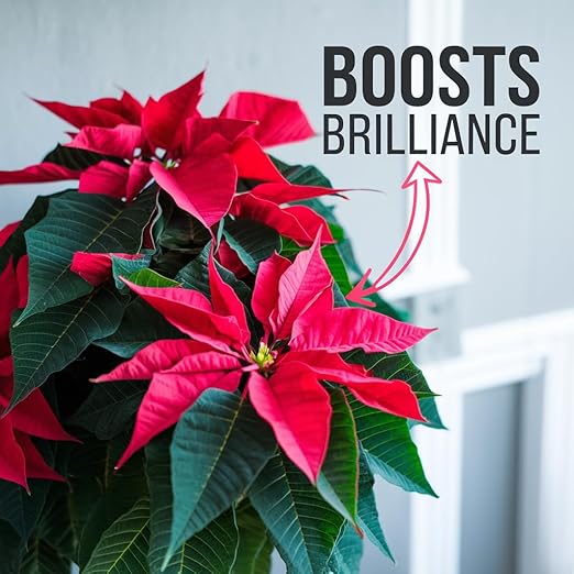 Poinsettia Plant Fertilizer - 3-1-2 NPK - Organic Liquid Plant Food for Christmas Flowers and Trees - 8oz Concentrate