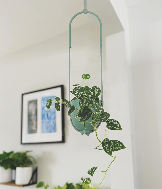 Metal Hanging Planter for Indoor Outdoor Plants Modern Wall and Ceiling Hanging Plant Holder Boho Flower Pot Hanger for Vines Succulents Ferns Room Decor(Green)
