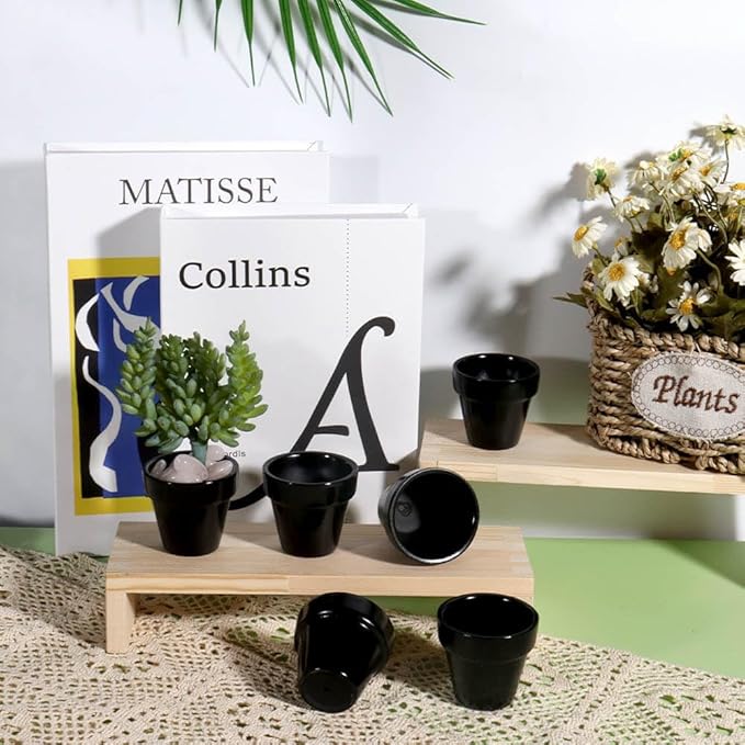 vensovo 48 Pcs 2" Tiny Ceramic Plant Pots with Drainage Hole - Black Small Mini Ceramic Pottery Planter Ideal for Indoor/Outdoor Plants, Crafts, Wedding Favors