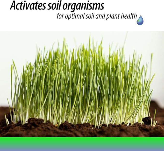 Duration Soil Surfactant Wetting Agent – Liquid Lawn Aeration Loosens Compacted Turf to Enhance Water Absorption and Air Circulation to Plant Roots – Earth Friendly Soil Activator (32 oz)