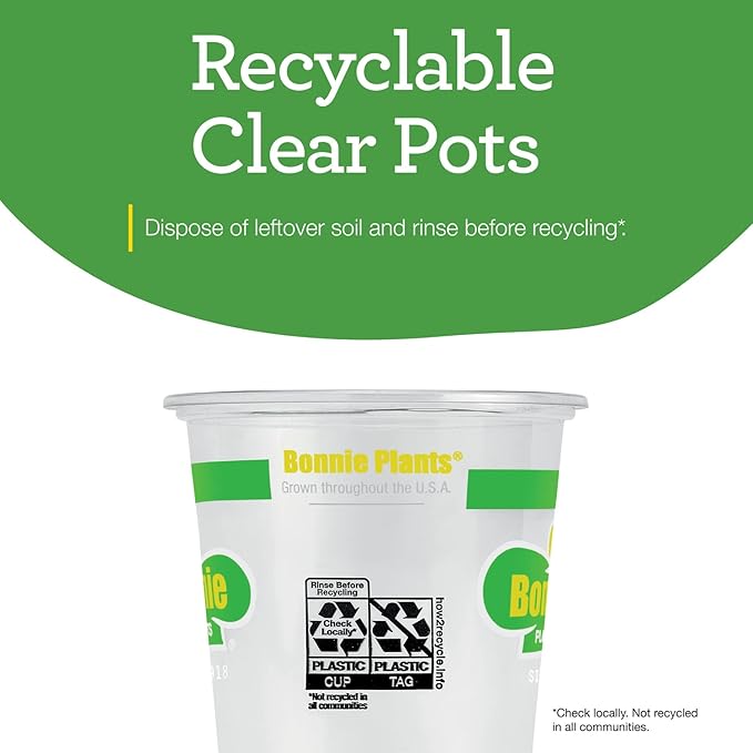 Bonnie Plants Roma Classic Paste Tomato - 4 Pack Live Plants, Great For Sauces, 3 Inch Long Fruit, Determinate, Non-GMO, Brown/A