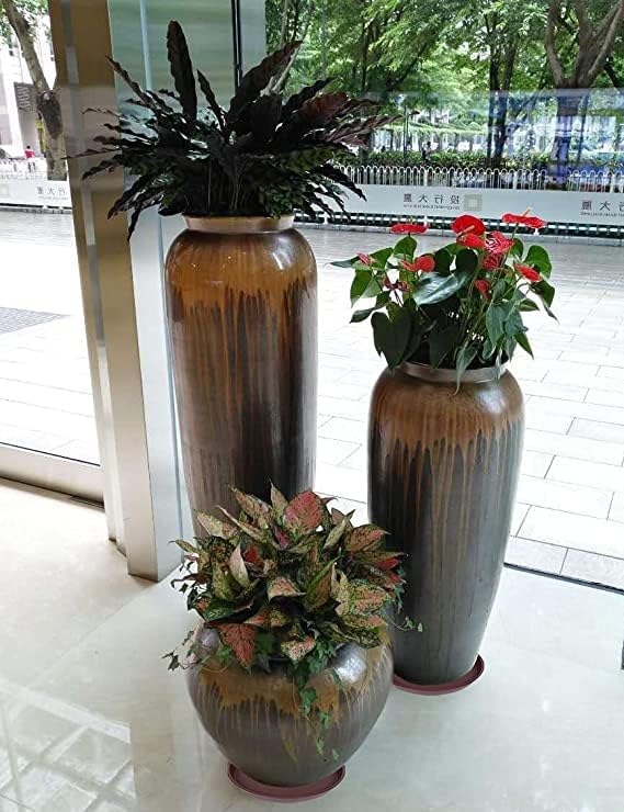 6 Pack of 10 inch Plant Saucer, Heavy Duty Plastic Plant Saucer 10 inch Round, Plant Tray for Pots, Flower Plant Saucers for Indoors, Plant Trays for Planter 8"/9"/10" (10", Chocolate)