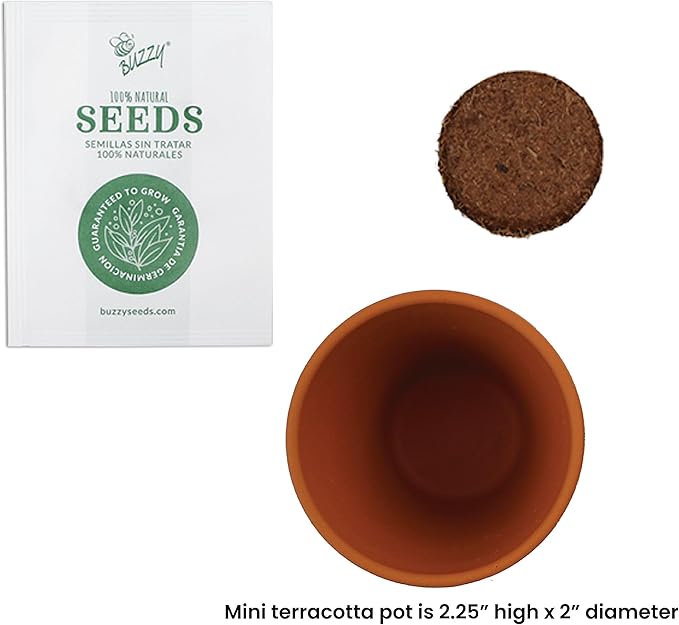 Buzzy Seeds Terracotta Mini Grow Pots | Herb, Plant, Flower Starter Kit for Kids & Adults | Assorted 20-Pack, | Lavender Seeds Guaranteed to Grow | Best Indoor Grow Your Own Plant Gardening Gift