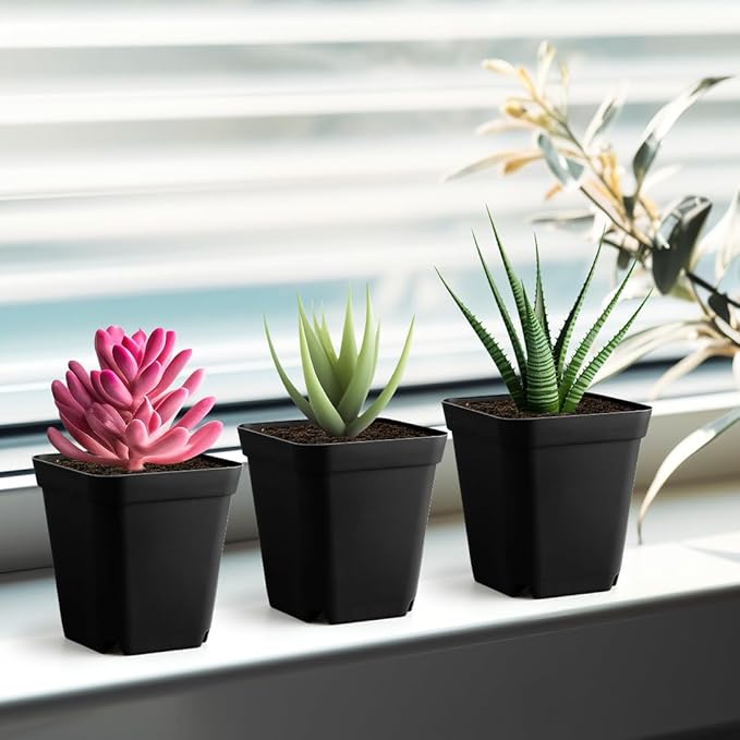 60 Pcs Nursery Pots 2.7 Inch, Plastic Seed Starting Pot with Drainage Holes, Sturdy Seedling pots for Planting, Cuttings (Black)