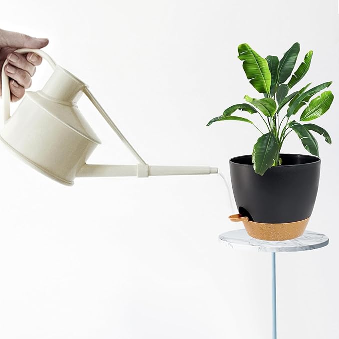 Indoor Pots for Plant Self Watering Plant Pots for Lazy People, 8/7.57/6.5/6/5.5/5 Inch,Black Plastic Self Watering Planter for All Houseplants,Succulent, African Violets, Flowers and Cactus