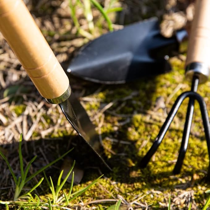 COLLECTIVE HOME - Garden Decor with Tools, Inspirational Wood Hanging Signs, Garden Tools Set - 3 Piece, Out Door Decor with Hooks, You Can't Buy Love BUT You CAN PALNT IT, 15.75"x9.5" (White)