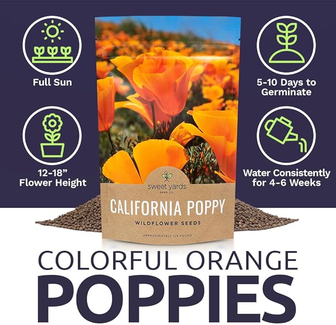 California Orange Poppy Wildflower Seeds - Bulk 1/4 Pound Bag - Over 80,000 Native Seeds - California State Flower!