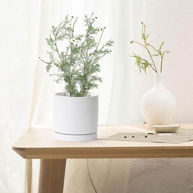 Aveyas 8 inch Ceramic Plant Pot with Drainage Hole and Saucer - Suitable for Indoor and Outdoor Use, Modern Planters for House Garden Flower Tree Snake Monstera Plants (8", Matte White)