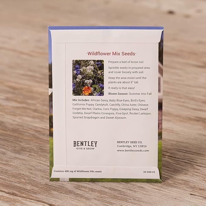Bentley Seeds Where Memories Grow Wildflower Mix - 25 Individual Flower Seed Packets - Great Gifts for New Homeowners, Baby Shower, Wedding - Non-GMO Wildflowers